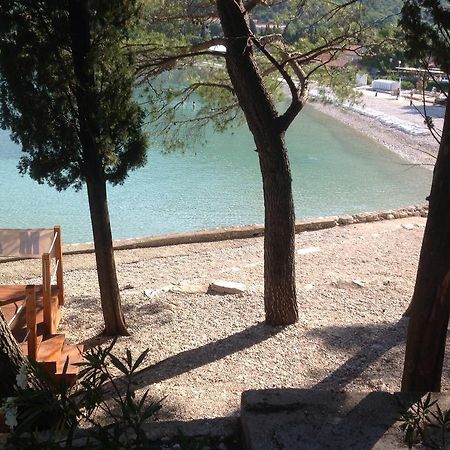 Apartment Biserka Cavtat Værelse billede