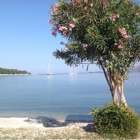 Apartment Biserka Cavtat Værelse billede