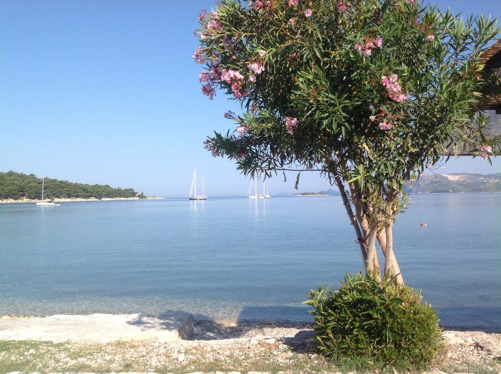 Apartment Biserka Cavtat Værelse billede