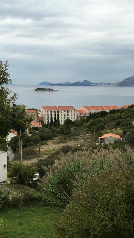 Apartment Biserka Cavtat Eksteriør billede